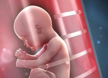 西安试管婴儿分为四个步骤，附西安试管费用明细