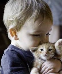 宣城市精子存储医院医院名单，选取精子做试管婴儿的流程以及费用