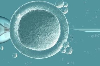 上海红房子医院做试管婴儿成功率约50%至65%！上海红房子试管成功率